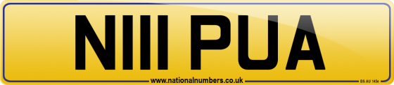 N111 PUA