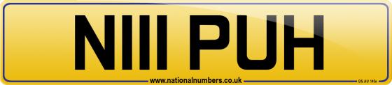 N111 PUH