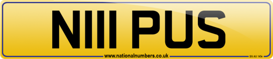 N111 PUS