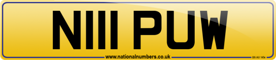 N111 PUW