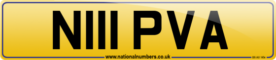 N111 PVA