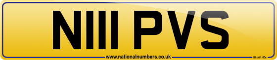 N111 PVS