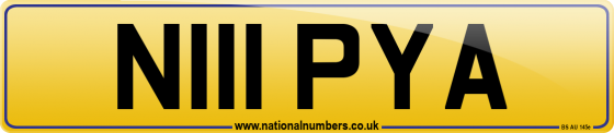 N111 PYA