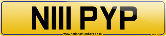 N111 PYP