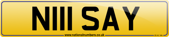 N111 SAY