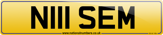 N111 SEM