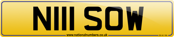 N111 SOW