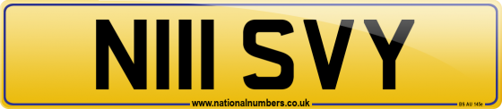 N111 SVY