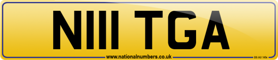 N111 TGA