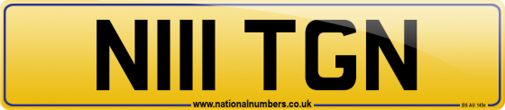 N111 TGN