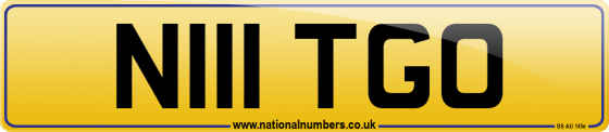 N111 TGO