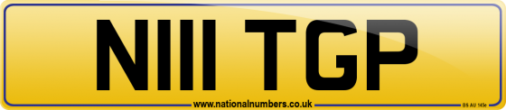 N111 TGP