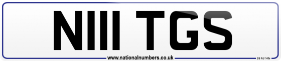 N111 TGS