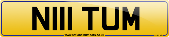 N111 TUM