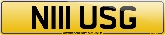N111 USG