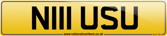 N111 USU