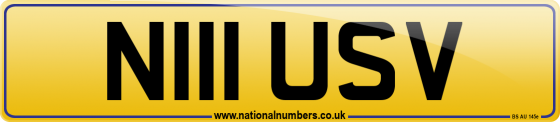N111 USV