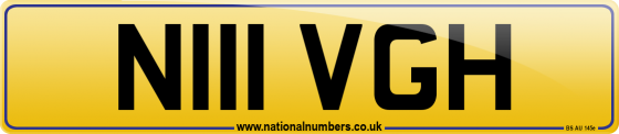N111 VGH