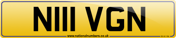 N111 VGN