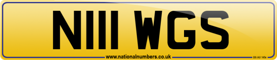 N111 WGS