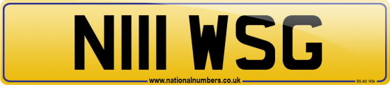 N111 WSG