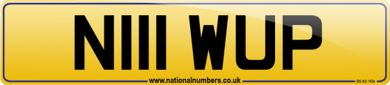 N111 WUP