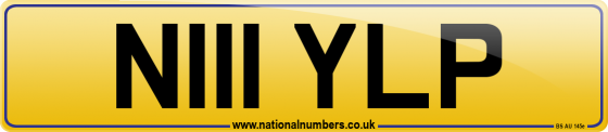 N111 YLP