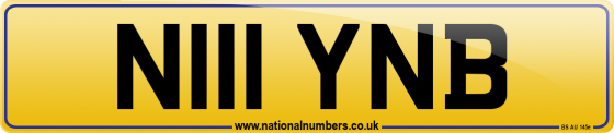 N111 YNB