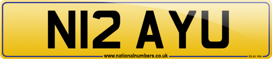 N12 AYU