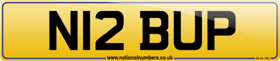 N12 BUP