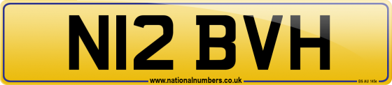 N12 BVH