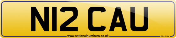 N12 CAU