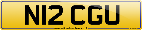 N12 CGU