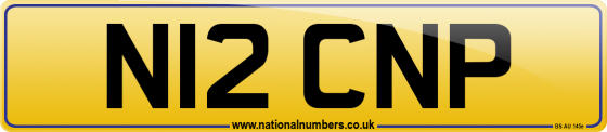 N12 CNP