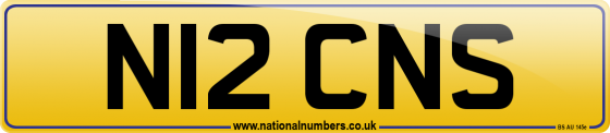 N12 CNS