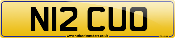 N12 CUO