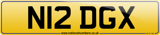 N12 DGX