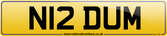 N12 DUM