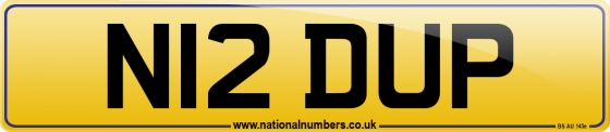 N12 DUP