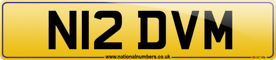 N12 DVM