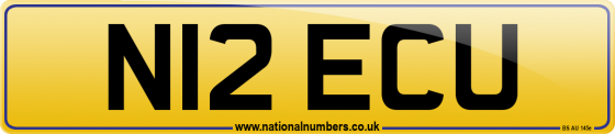 N12 ECU