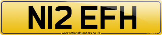 N12 EFH
