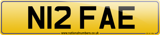 N12 FAE