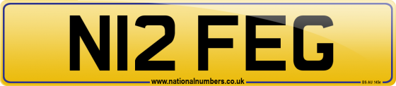 N12 FEG