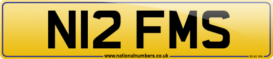 N12 FMS