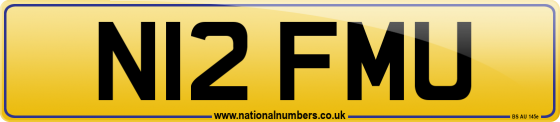 N12 FMU
