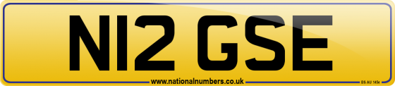N12 GSE