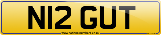 N12 GUT