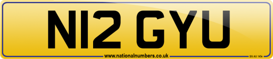 N12 GYU