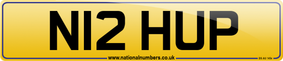 N12 HUP